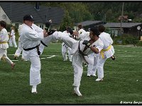 2011 06 24 3020-border